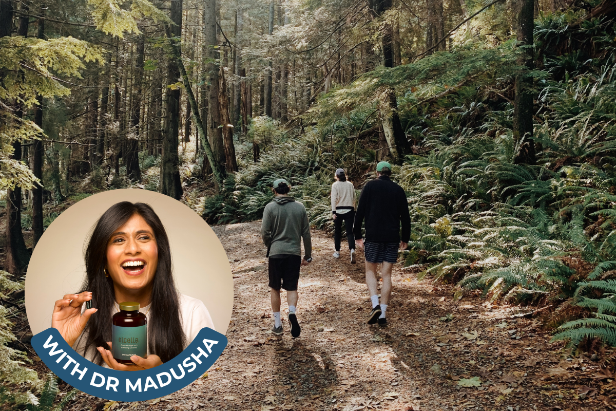 How Gut Health Supports Weight Management and Men’s Health